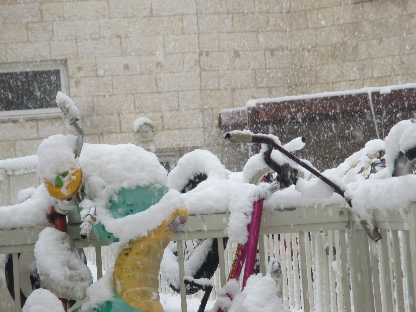 השלג שלכם • התמונות של גולשי "כיכר השבת"