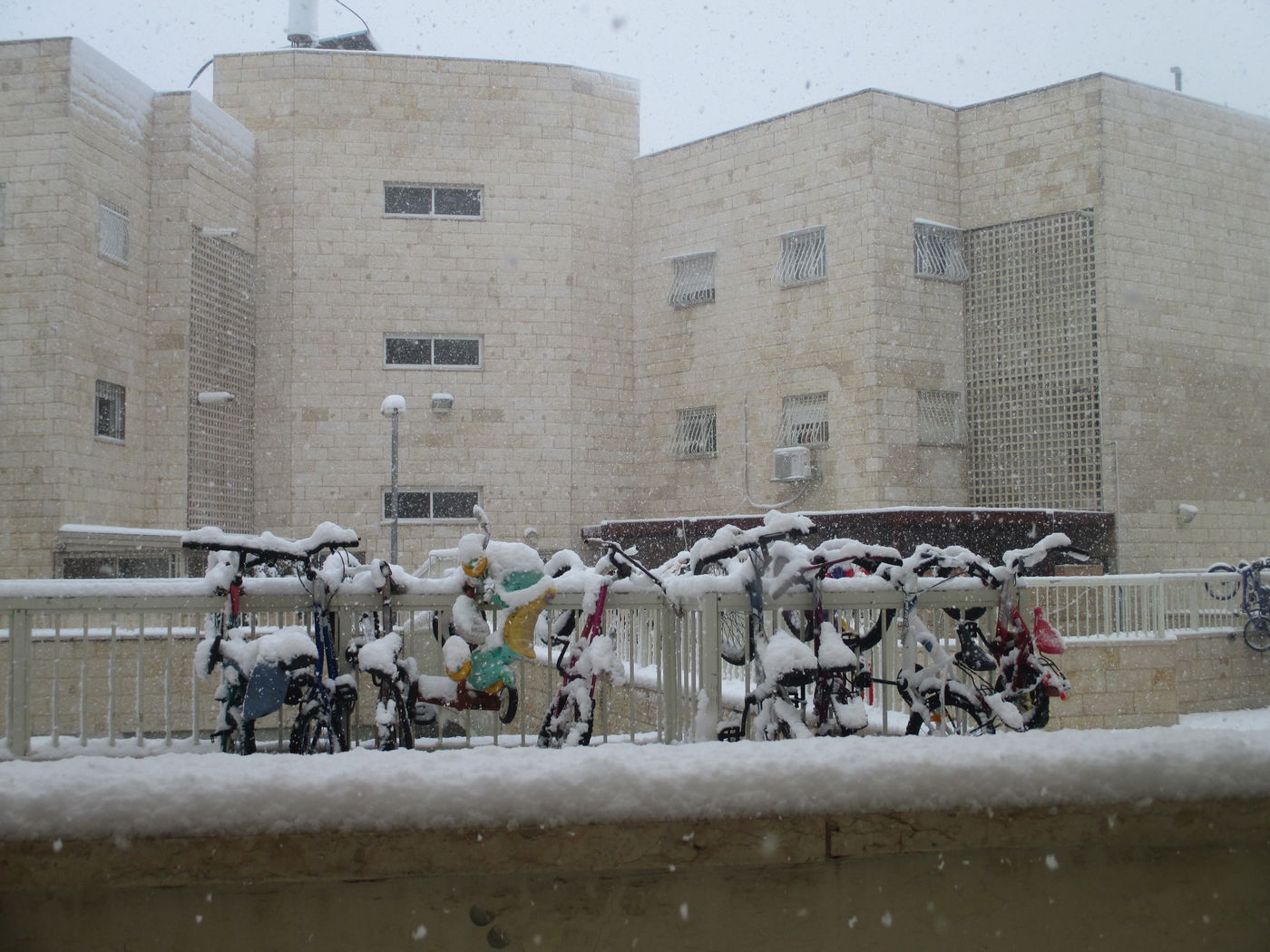 השלג שלכם • התמונות של גולשי "כיכר השבת"