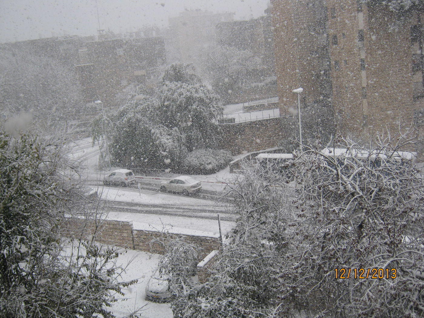 השלג שלכם • התמונות של גולשי "כיכר השבת"