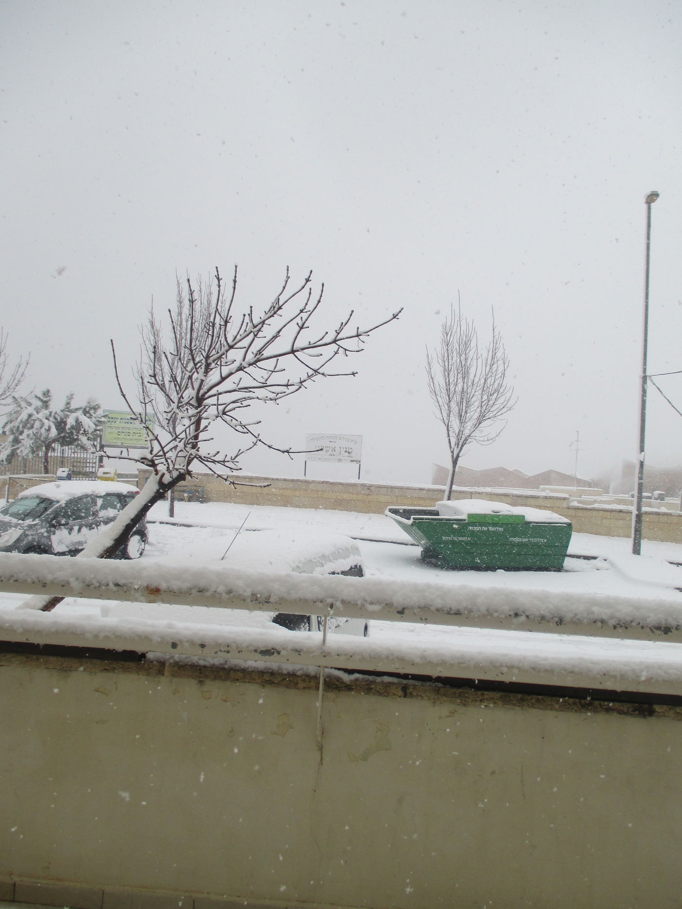 השלג שלכם • התמונות של גולשי "כיכר השבת"