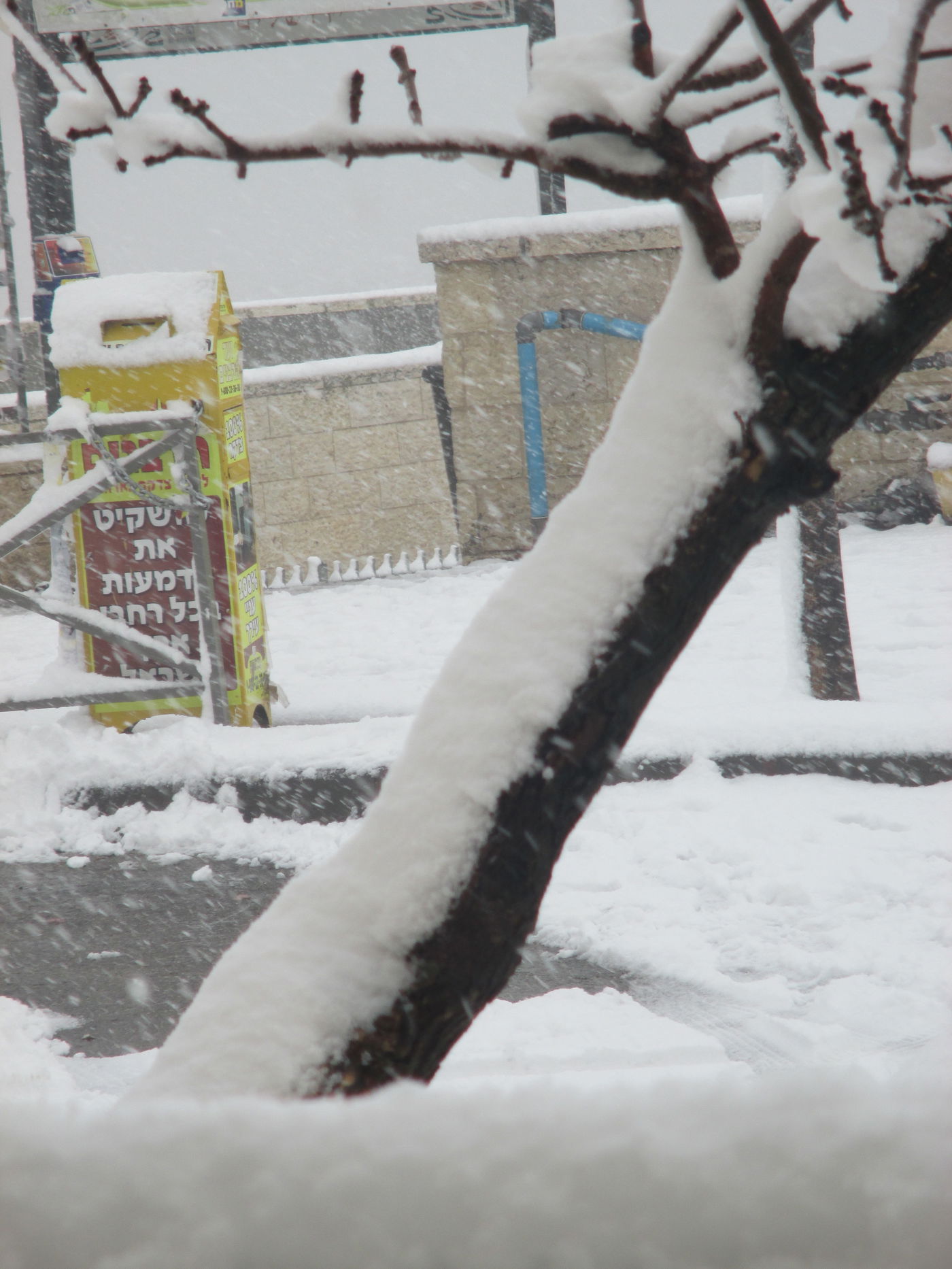 השלג שלכם • התמונות של גולשי "כיכר השבת"