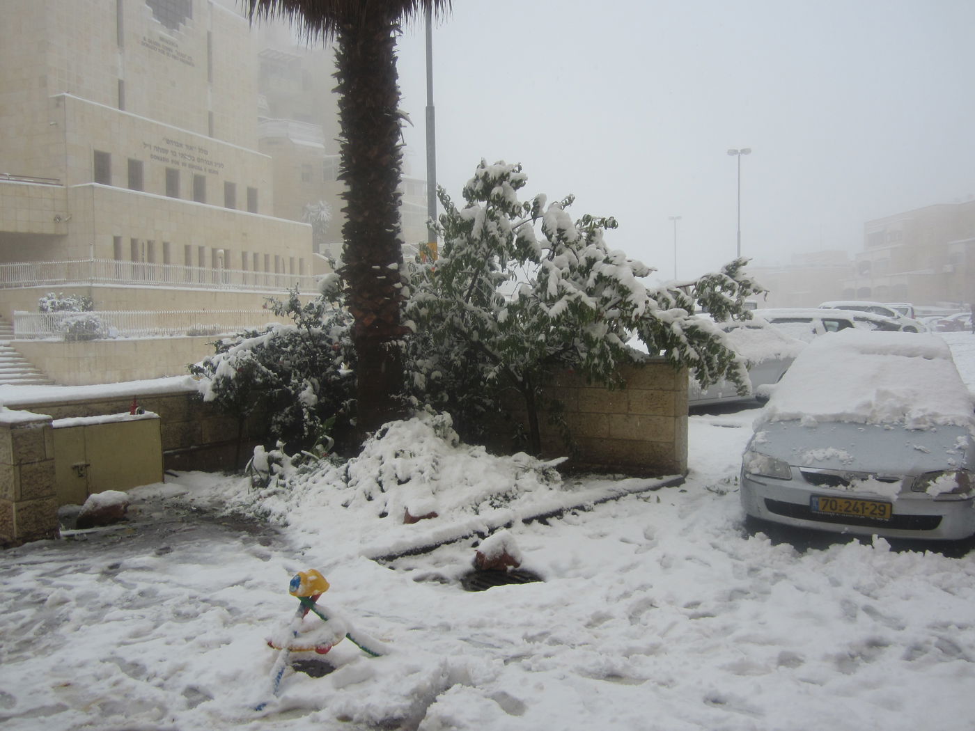 שלג בהר נוף