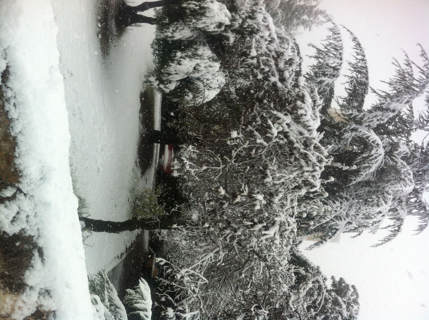 השלג שלכם • התמונות של גולשי "כיכר השבת"