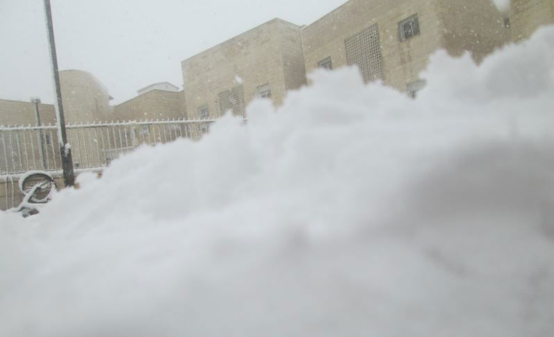 השלג שלכם • התמונות של גולשי "כיכר השבת"