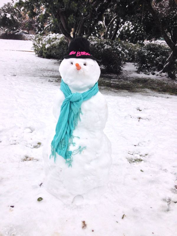 השלג שלכם • התמונות של גולשי "כיכר השבת"
