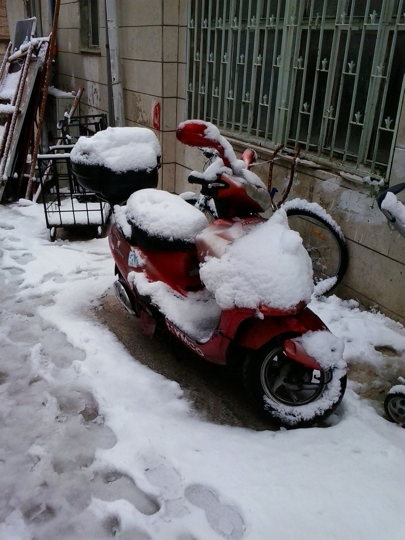 השלג שלכם • התמונות של גולשי "כיכר השבת"