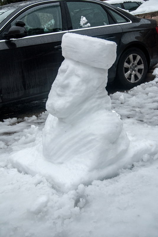 השלג שלכם • התמונות של גולשי "כיכר השבת"