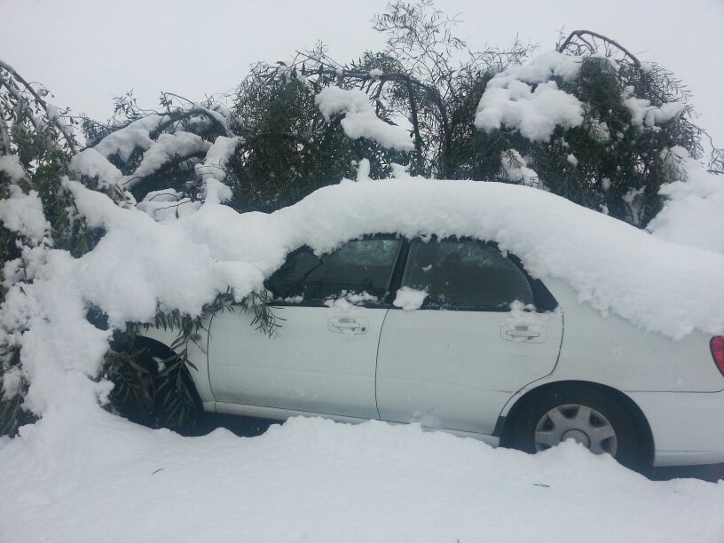 רכבים תקועים בשלג, הבוקר