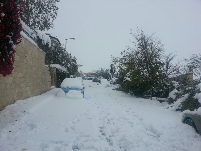 תיעוד מירושלים הנצורה: צה"ל מפנה לכודים במשאיות