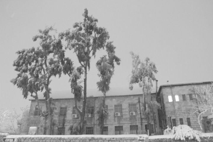 תיעוד: לילה לבן בירושלים