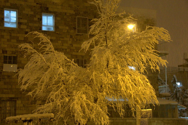 תיעוד: לילה לבן בירושלים