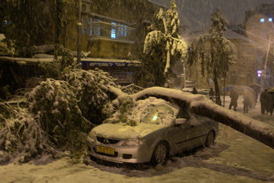 עץ שקרס על רכב בירושלים