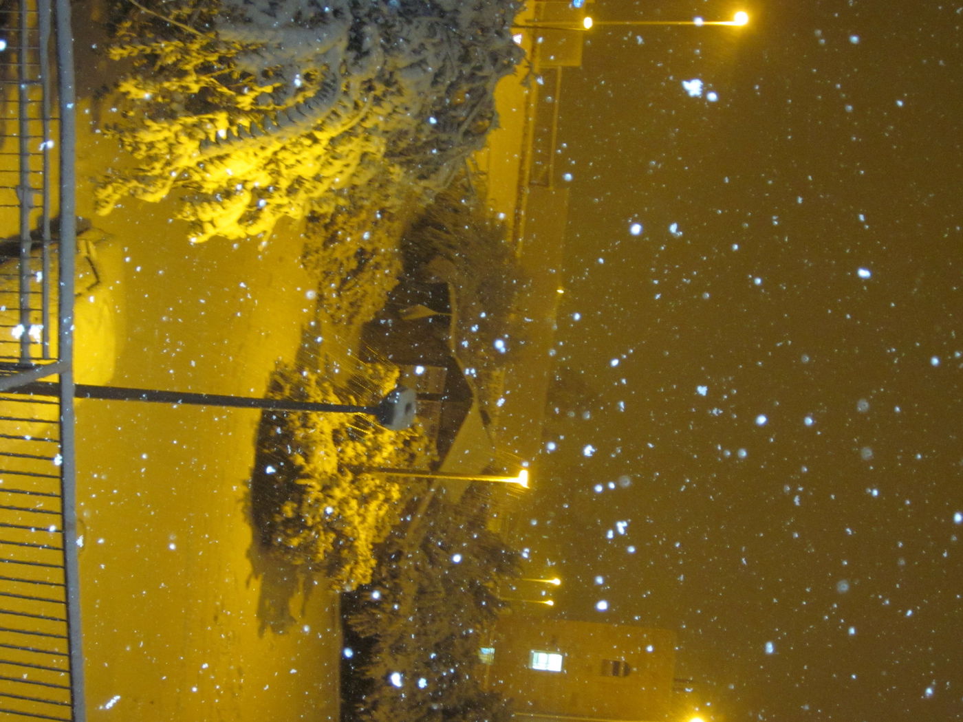 לילה מושלג בירושלים