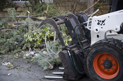 מפנים את שברי העצים