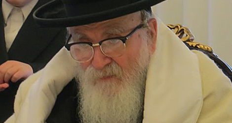 תיעוד: הנופש של הרבי מסקווירא בעיירה נייעק