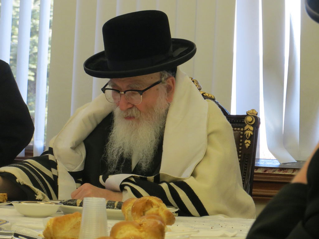 תיעוד: הנופש של הרבי מסקווירא בעיירה נייעק