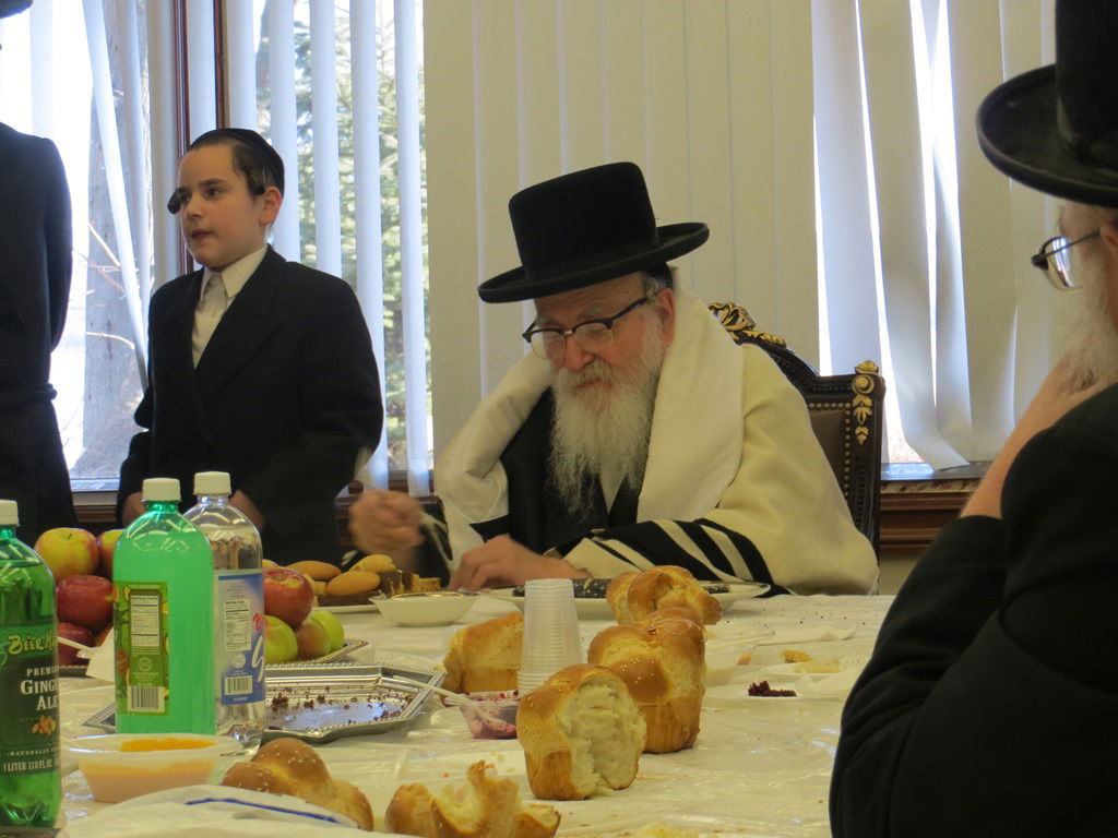 תיעוד: הנופש של הרבי מסקווירא בעיירה נייעק