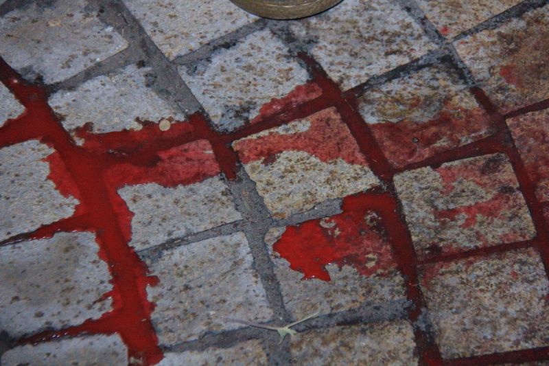 תיעוד: עשרות הפגינו נגד שחרור מחבלים