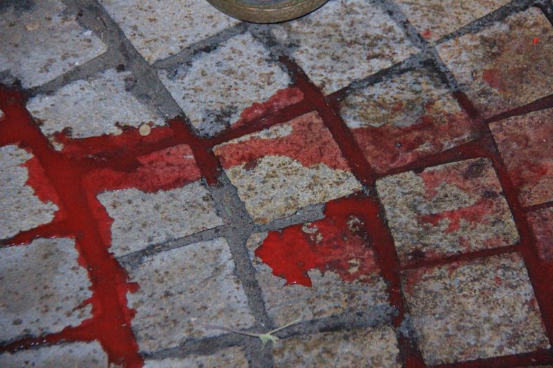 תיעוד: עשרות הפגינו נגד שחרור מחבלים