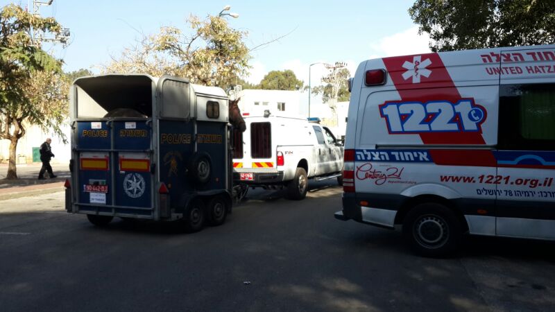 בני ברק: נער בן 17 נמצא ללא רוח חיים בתוך חורשה