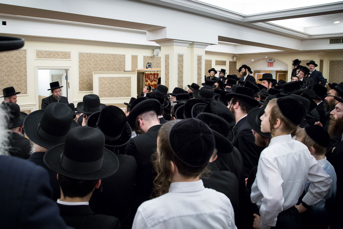 בורו פארק: קבלת פנים לאדמו"ר מבויאן