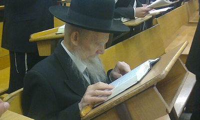 הגאון רבי גרשון אדלשטיין