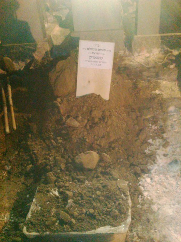 קברו הטרי של שטארק