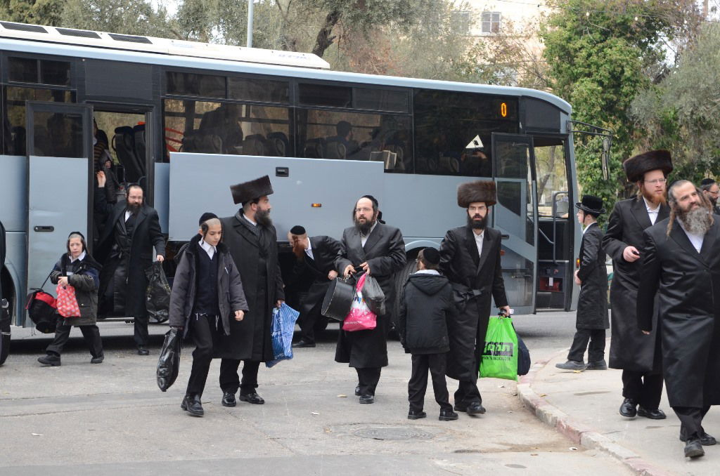 שבת "שבח ושירה" בחסידות ערלוי • תיעוד ענק