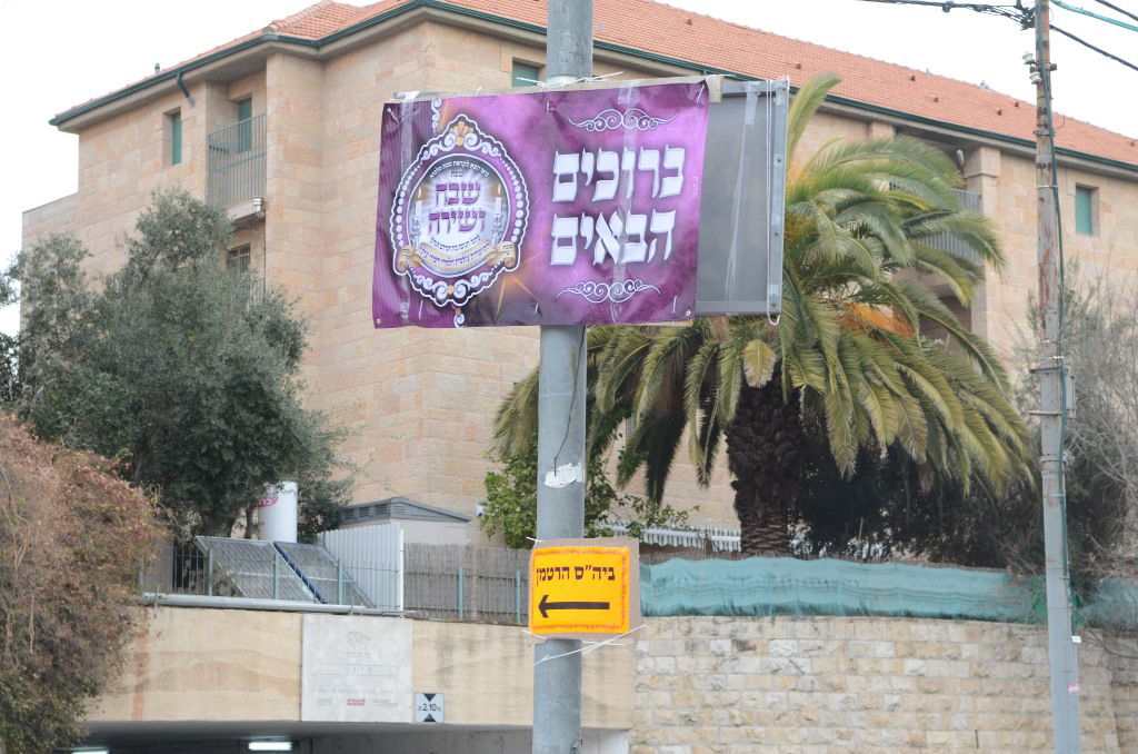 שבת "שבח ושירה" בחסידות ערלוי • תיעוד ענק