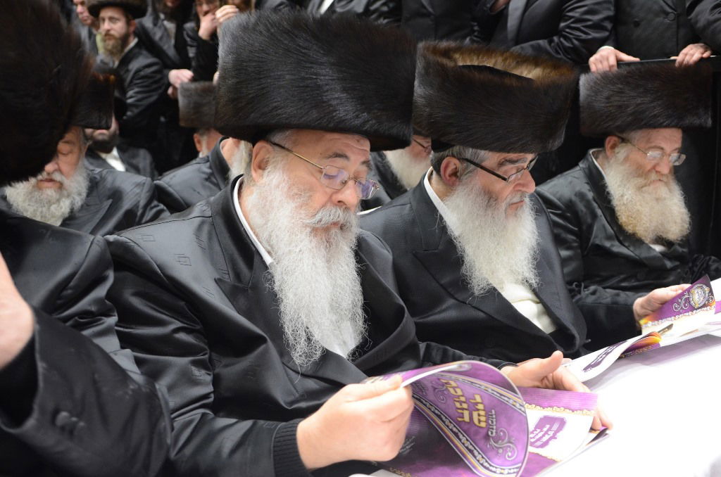 שבת "שבח ושירה" בחסידות ערלוי • תיעוד ענק