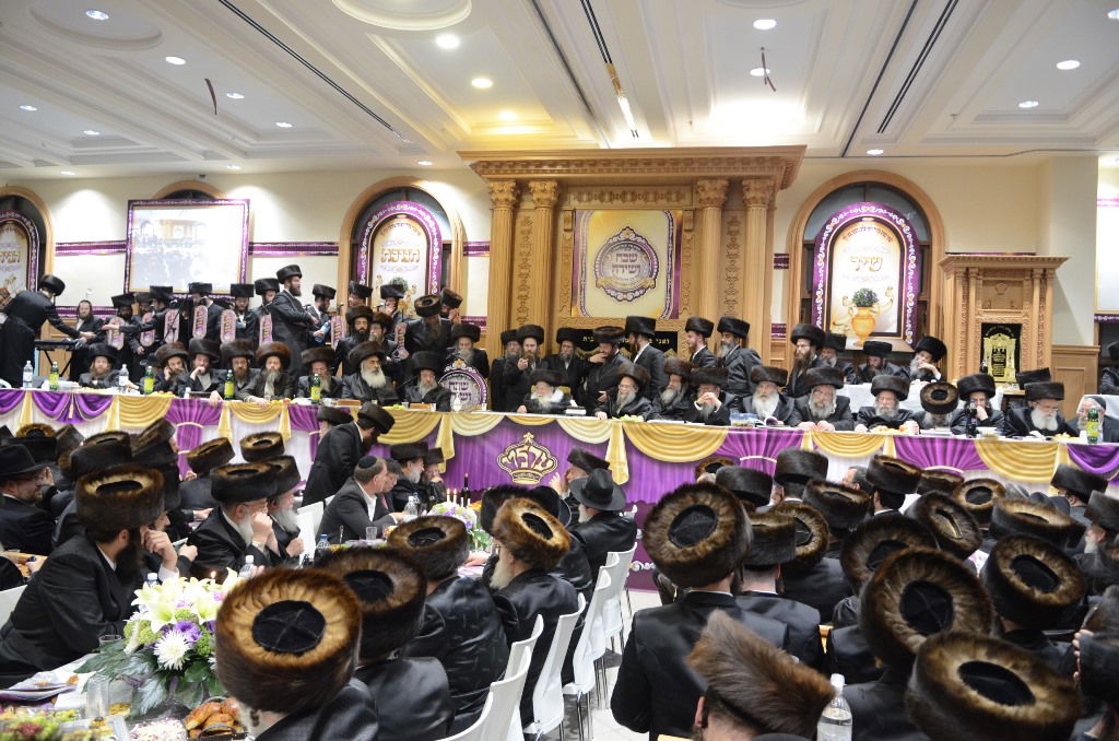 שבת "שבח ושירה" בחסידות ערלוי • תיעוד ענק