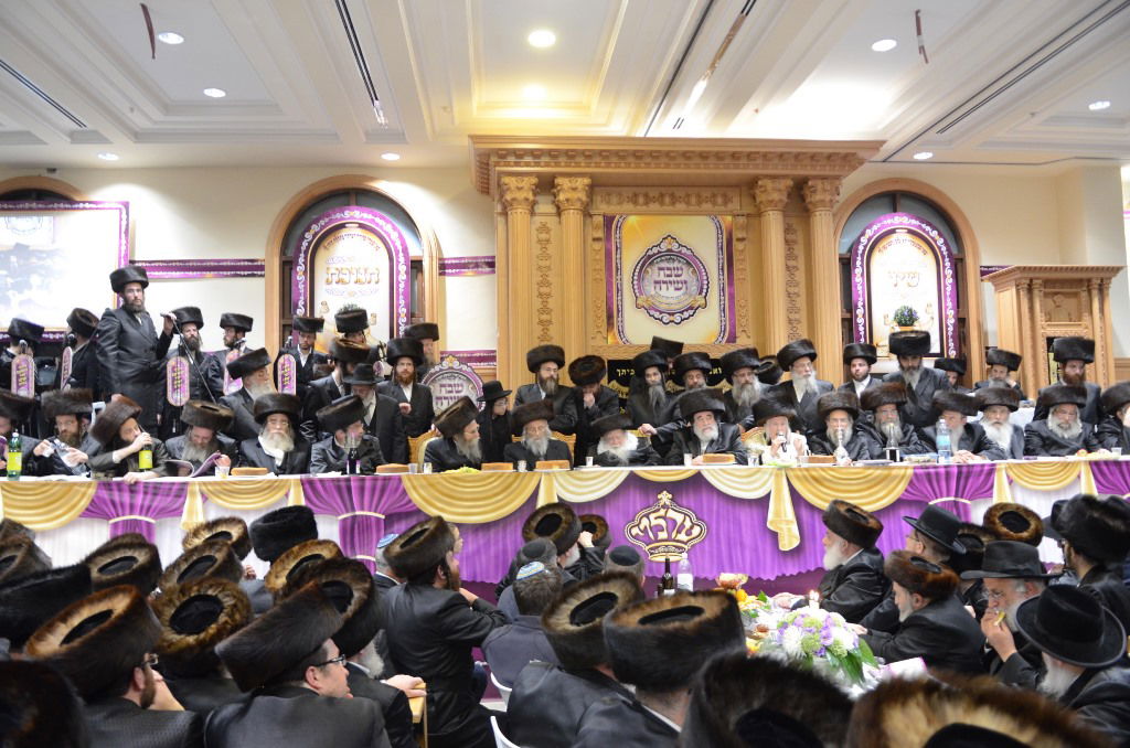 שבת "שבח ושירה" בחסידות ערלוי • תיעוד ענק
