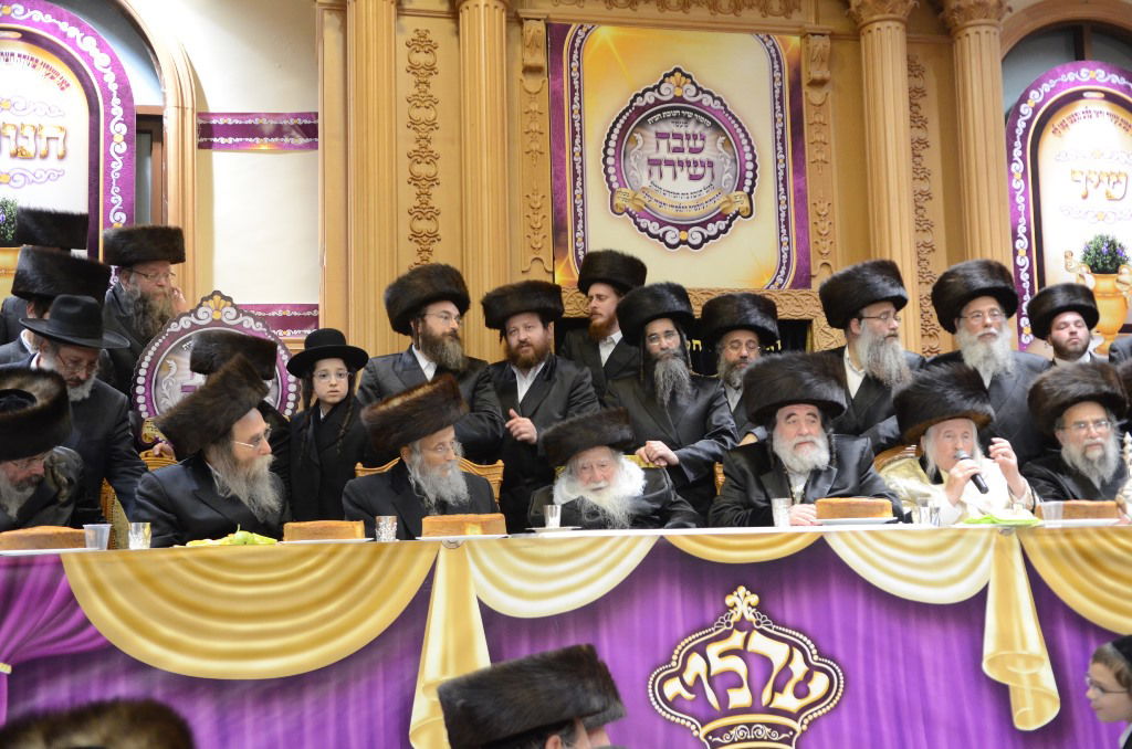 שבת "שבח ושירה" בחסידות ערלוי • תיעוד ענק