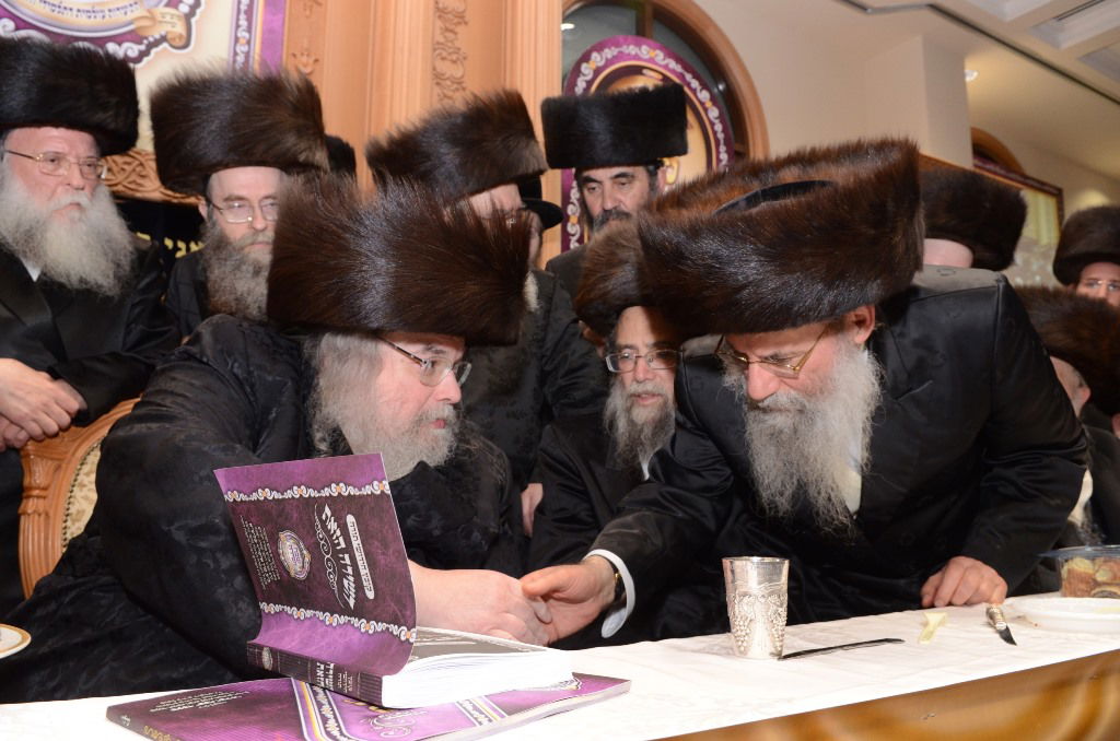 שבת "שבח ושירה" בחסידות ערלוי • תיעוד ענק