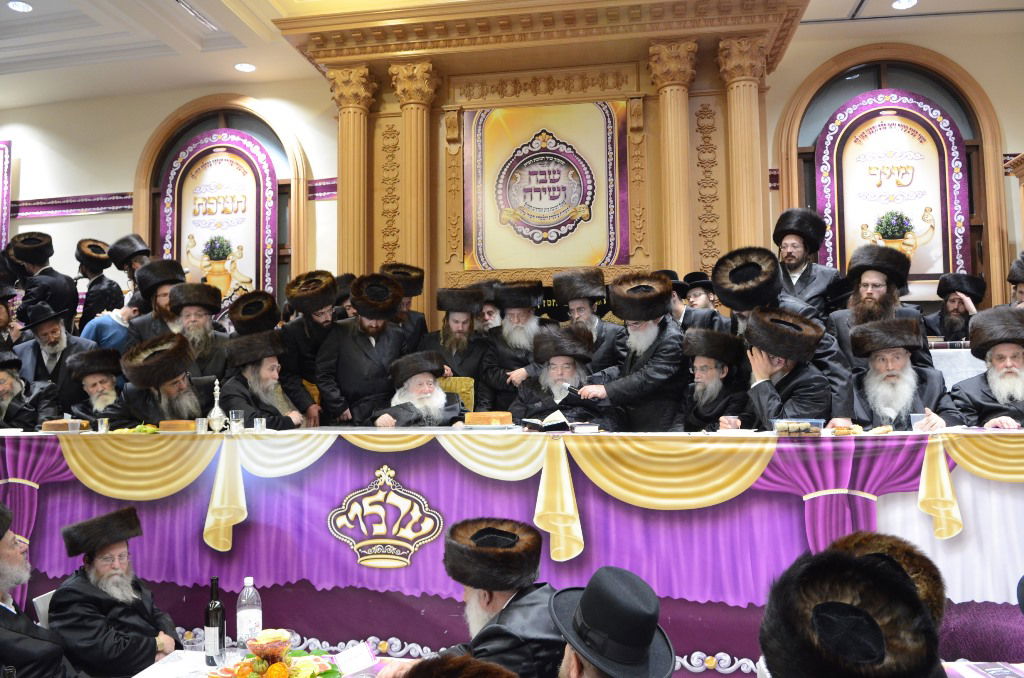 שבת "שבח ושירה" בחסידות ערלוי • תיעוד ענק