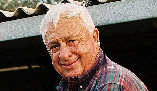 המשטרה תחקור פרסומי השמחה על מות שרון