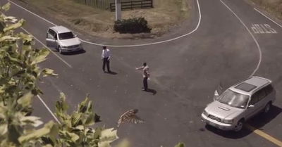 אני נוסע מהר מדי, הילד יצטרך למות