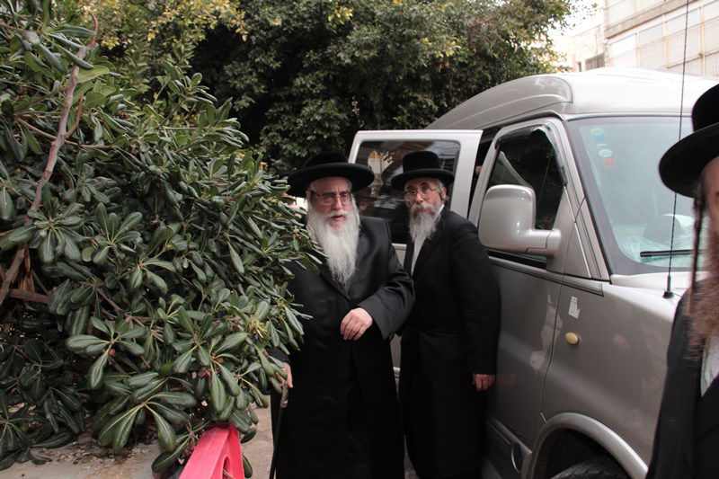 צפו: האדמו"רים מגיעים לכינוס "המועצת"