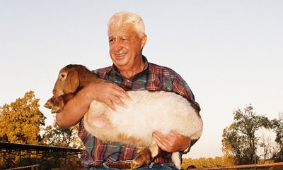 אריאל שרון רועה צאן