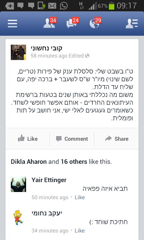 הסטטוס המתוקן של נחשוני