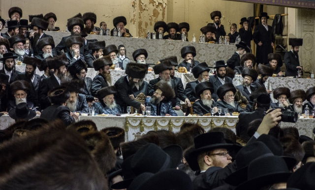 גלריה: חתונת בת זקוניו של אב"ד באבוב