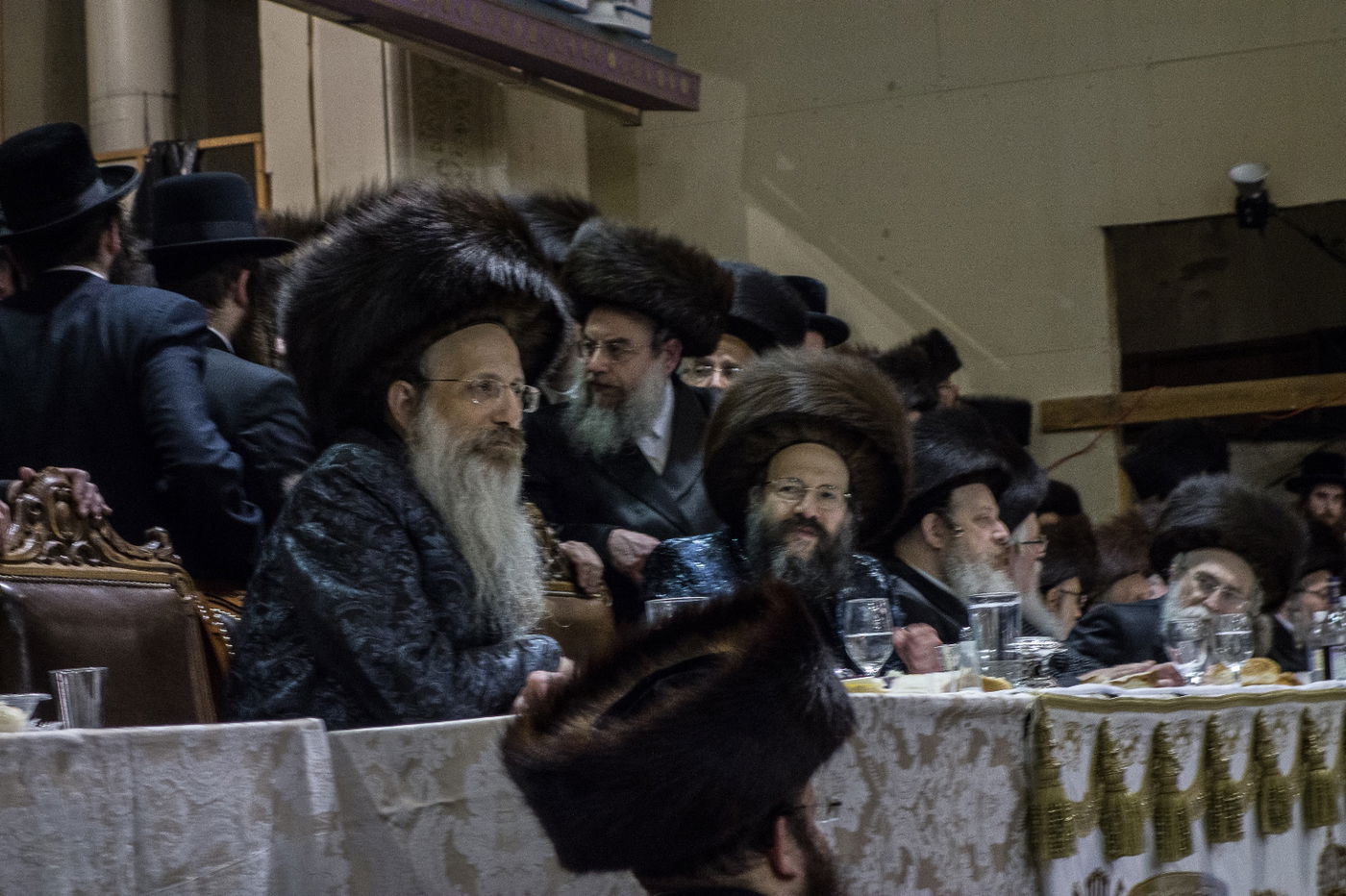 גלריה: חתונת בת זקוניו של אב"ד באבוב