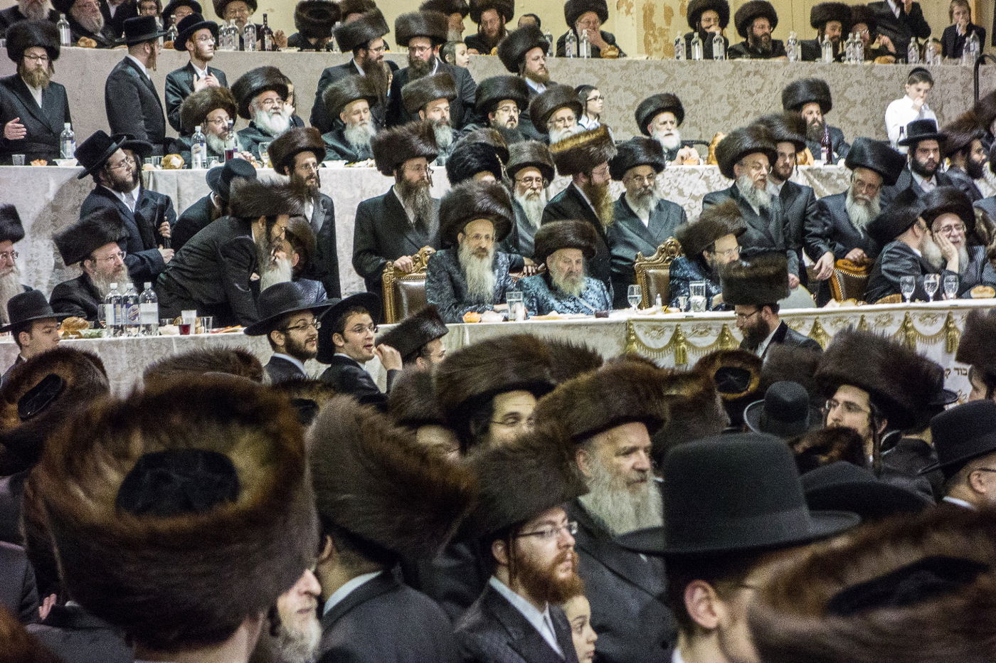 גלריה: חתונת בת זקוניו של אב"ד באבוב