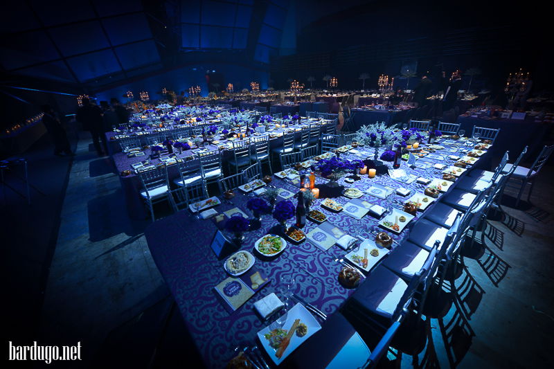 צפו בגלריה: הדינר של סערט ויז'ניץ