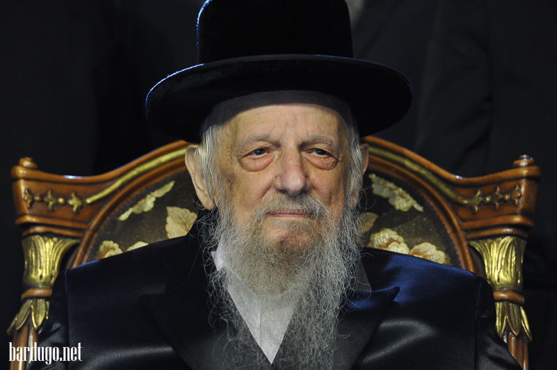 צפו בגלריה: הדינר של סערט ויז'ניץ