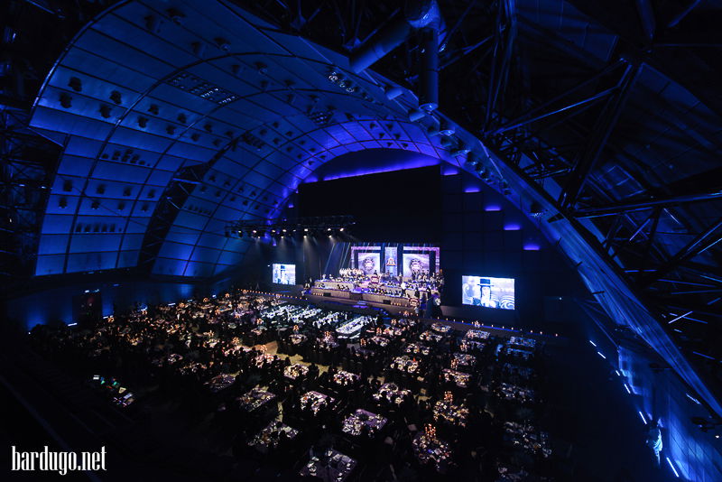 צפו בגלריה: הדינר של סערט ויז'ניץ