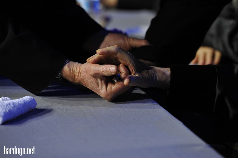 צפו בגלריה: הדינר של סערט ויז'ניץ