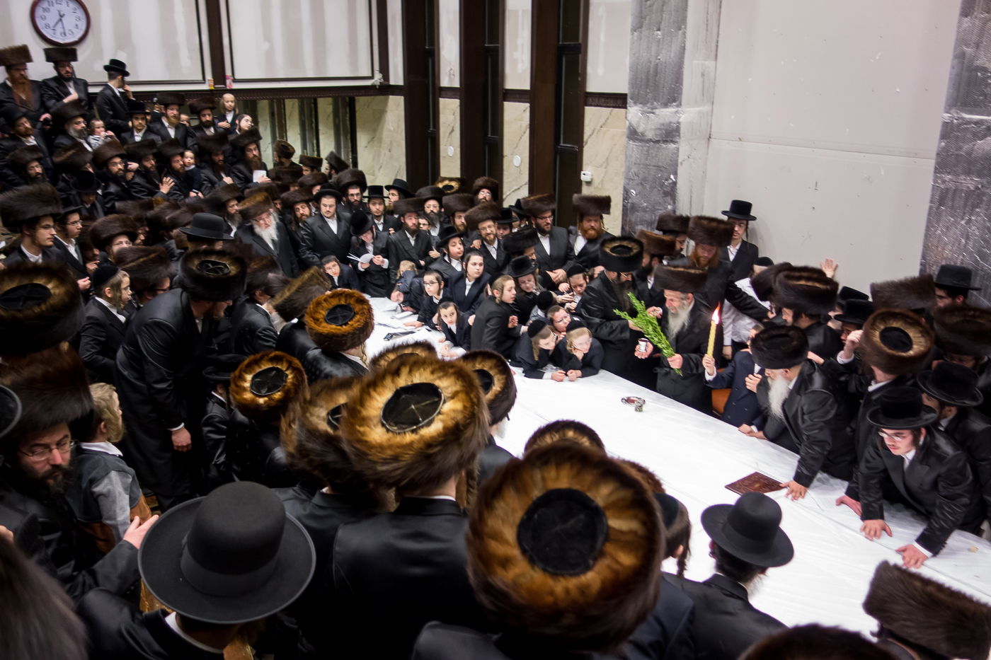 תמונות: הרבי מסלאנים בבורו פארק