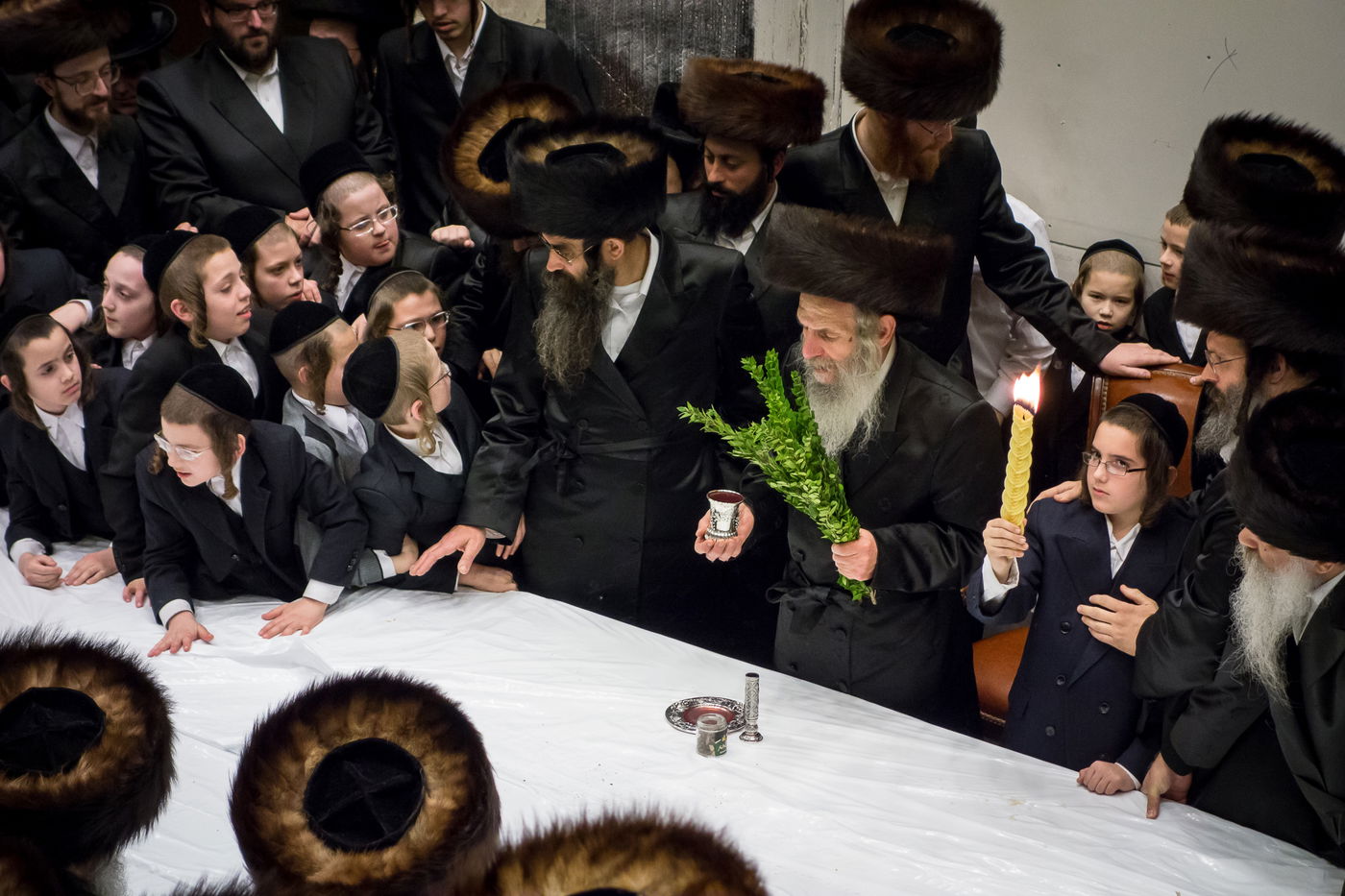 תמונות: הרבי מסלאנים בבורו פארק