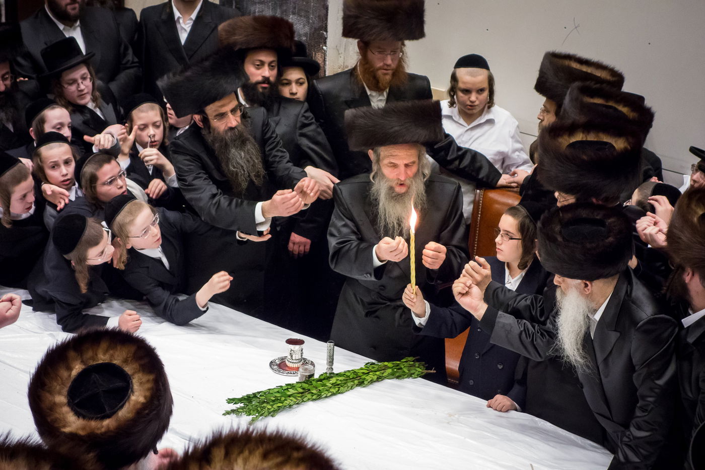 תמונות: הרבי מסלאנים בבורו פארק